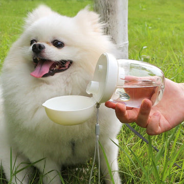 Portable Cat And Dog Outdoor Drinking Glass Pet